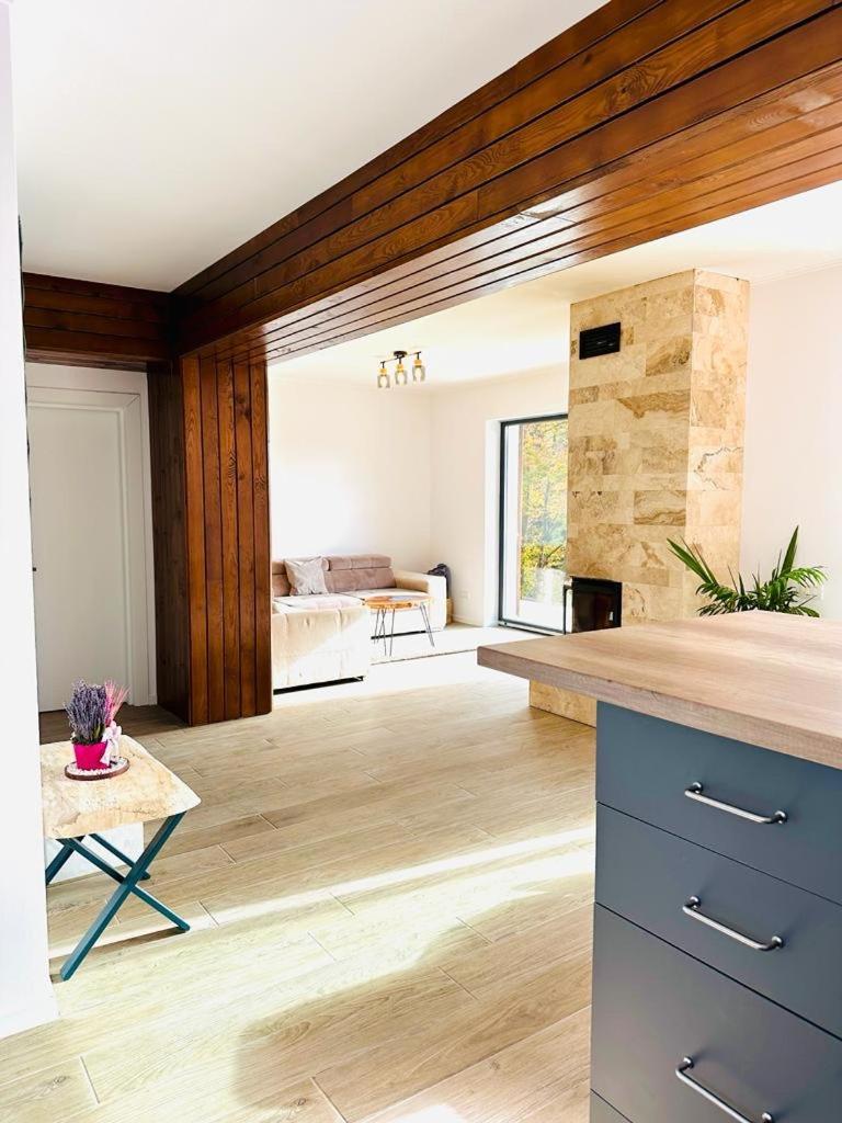 Stone House Sinaia Villa Luaran gambar